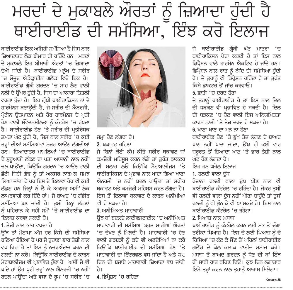 Punjabi - Beauty Article