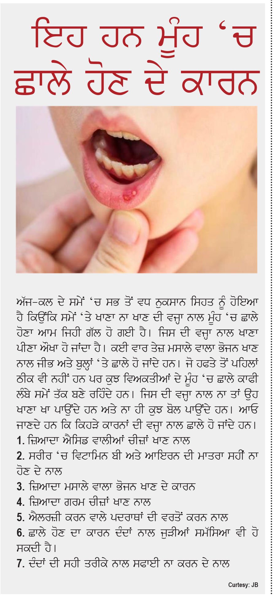 Punjabi - Beauty Article