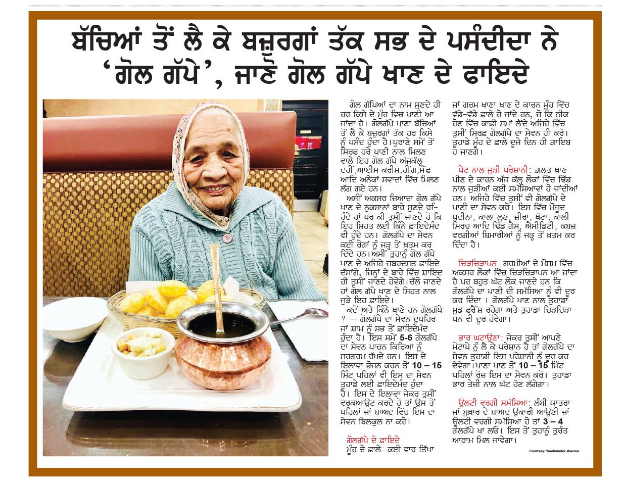 Punjabi Article
