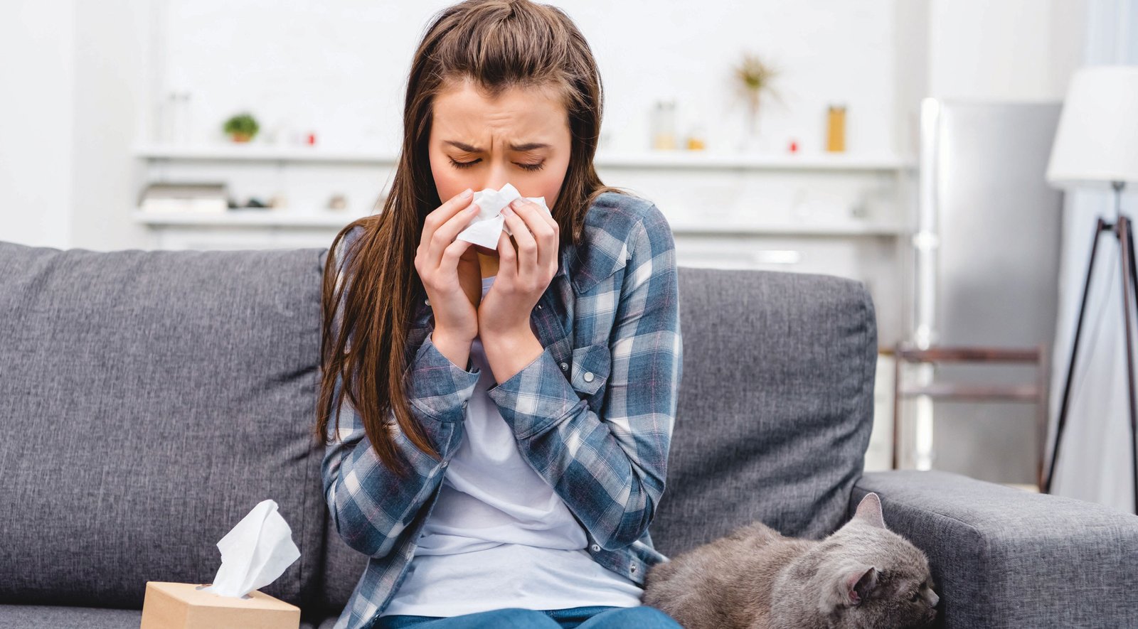 All you need to know about allergies
