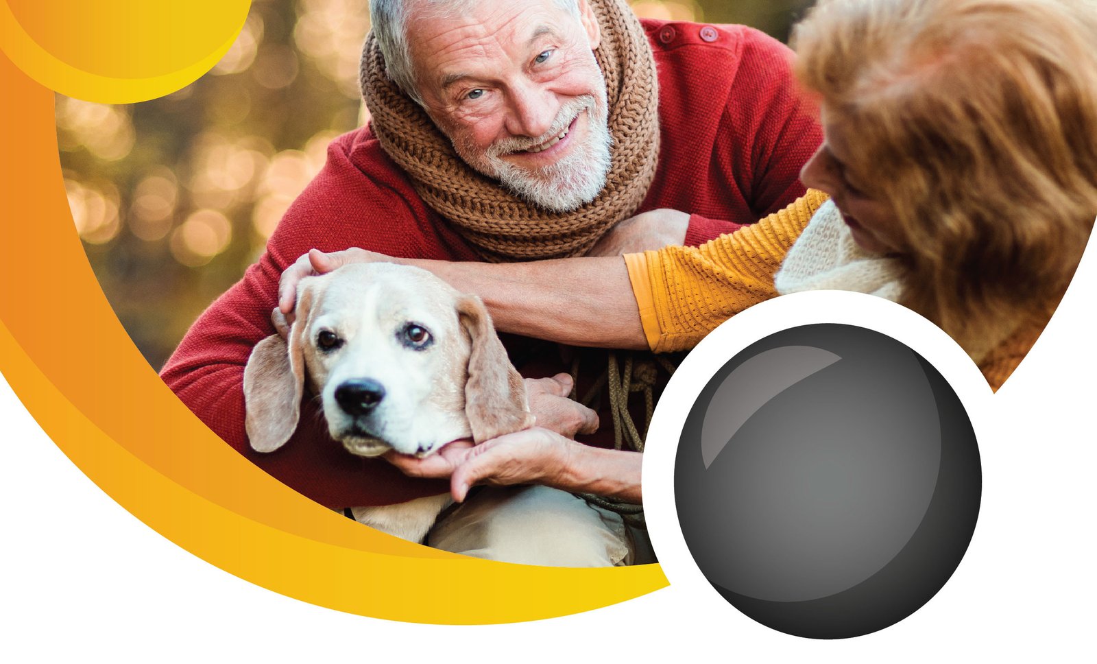 Brachycephalic syndrome: Obstructing your furry friends’ breathing