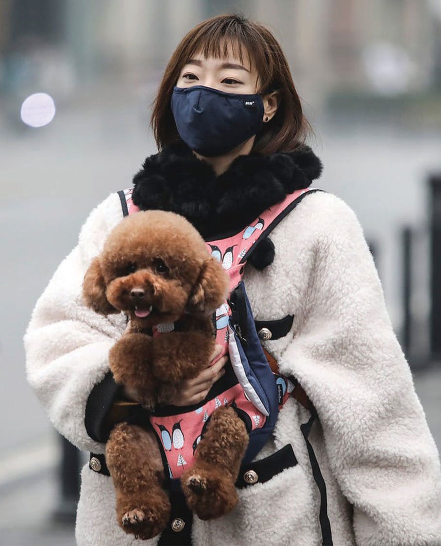CAN YOUR PETS BE AFFECTED BY CORONAVIRUS?