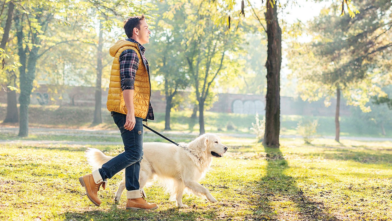 HERE’S WHAT YOU NEED TO KNOW ABOUT SALMONELLOSIS IN DOGS