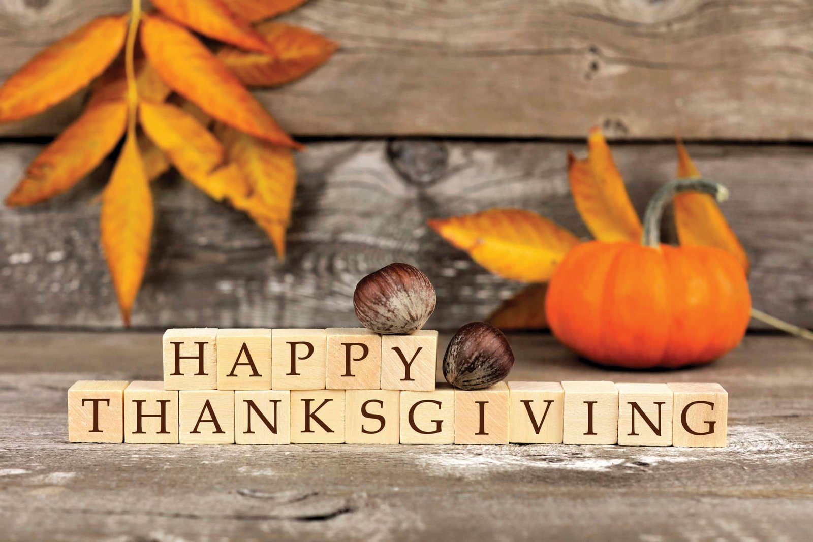THANKSGIVING DAY (CANADA)