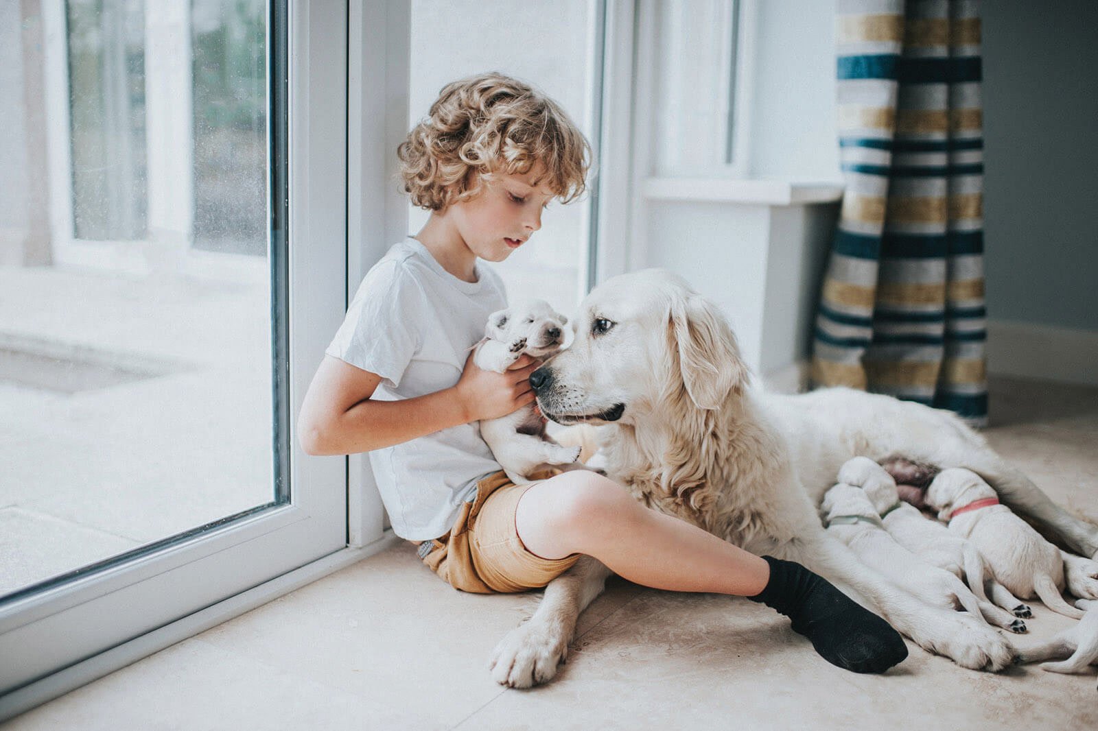 FUN FACTS ON DAILY DOG BEHAVIOR