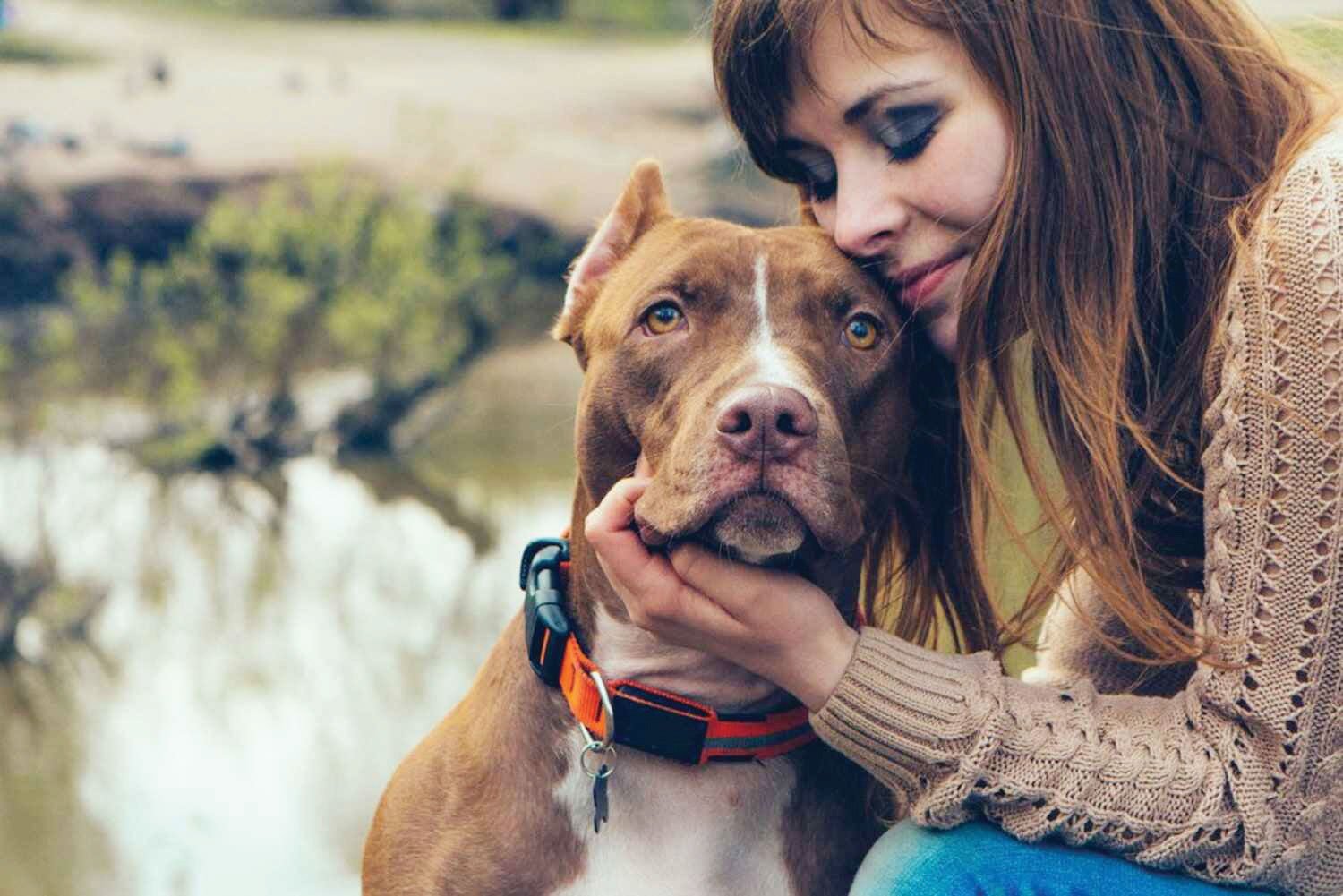 all about the Separation Anxiety Treatment Plan