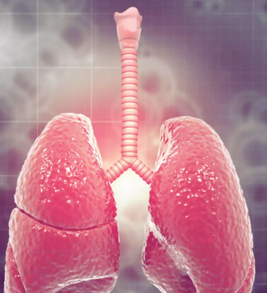 All you need to know about TUBERCULOSIS (TB)