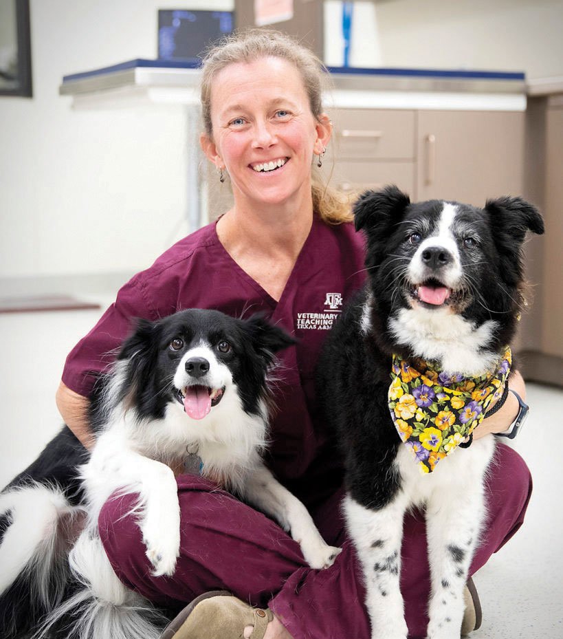 All you need to know about dementia in dogs
