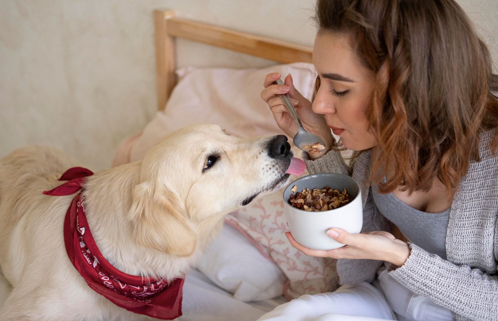 What to do if your dog eats chocolate!